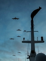Frigate Birds and the ships mast